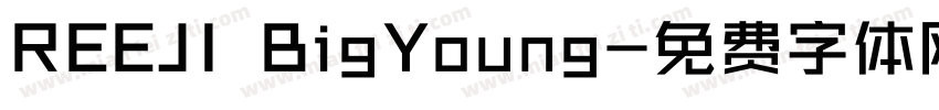 REEJI BigYoung字体转换